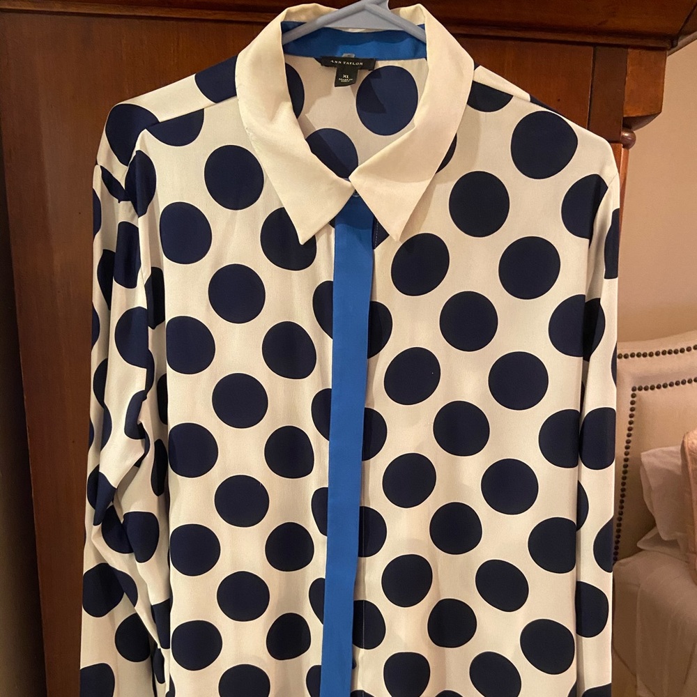 - Ann Taylor blouse